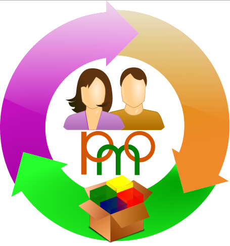 دفتر مدیریت طرح (The Program Management Office)